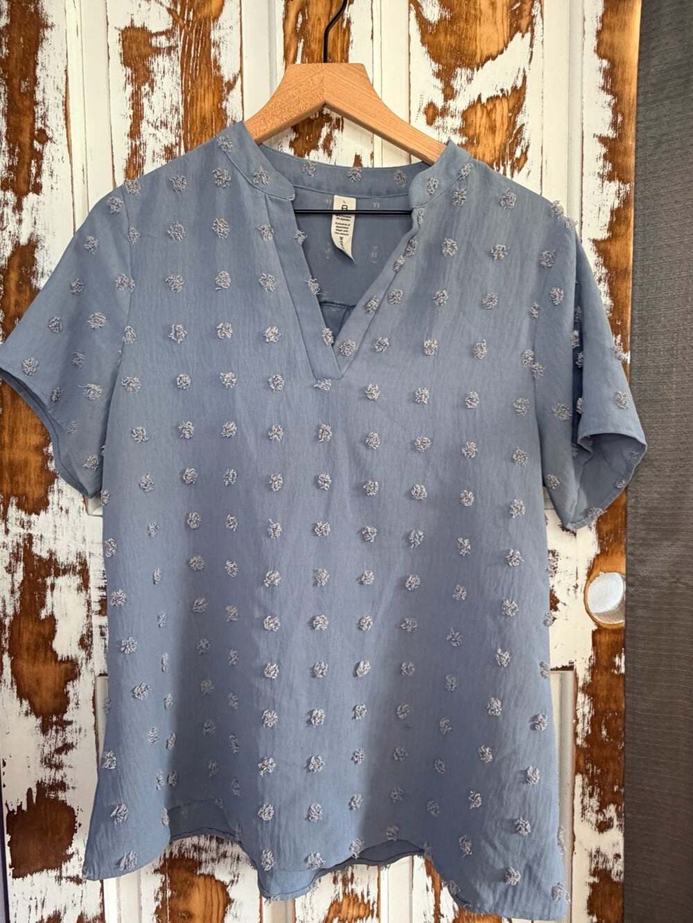 Womens V-Neck Short Sleeve Casual Blouse Swiss Dot Blue Size L Flowy Coastal